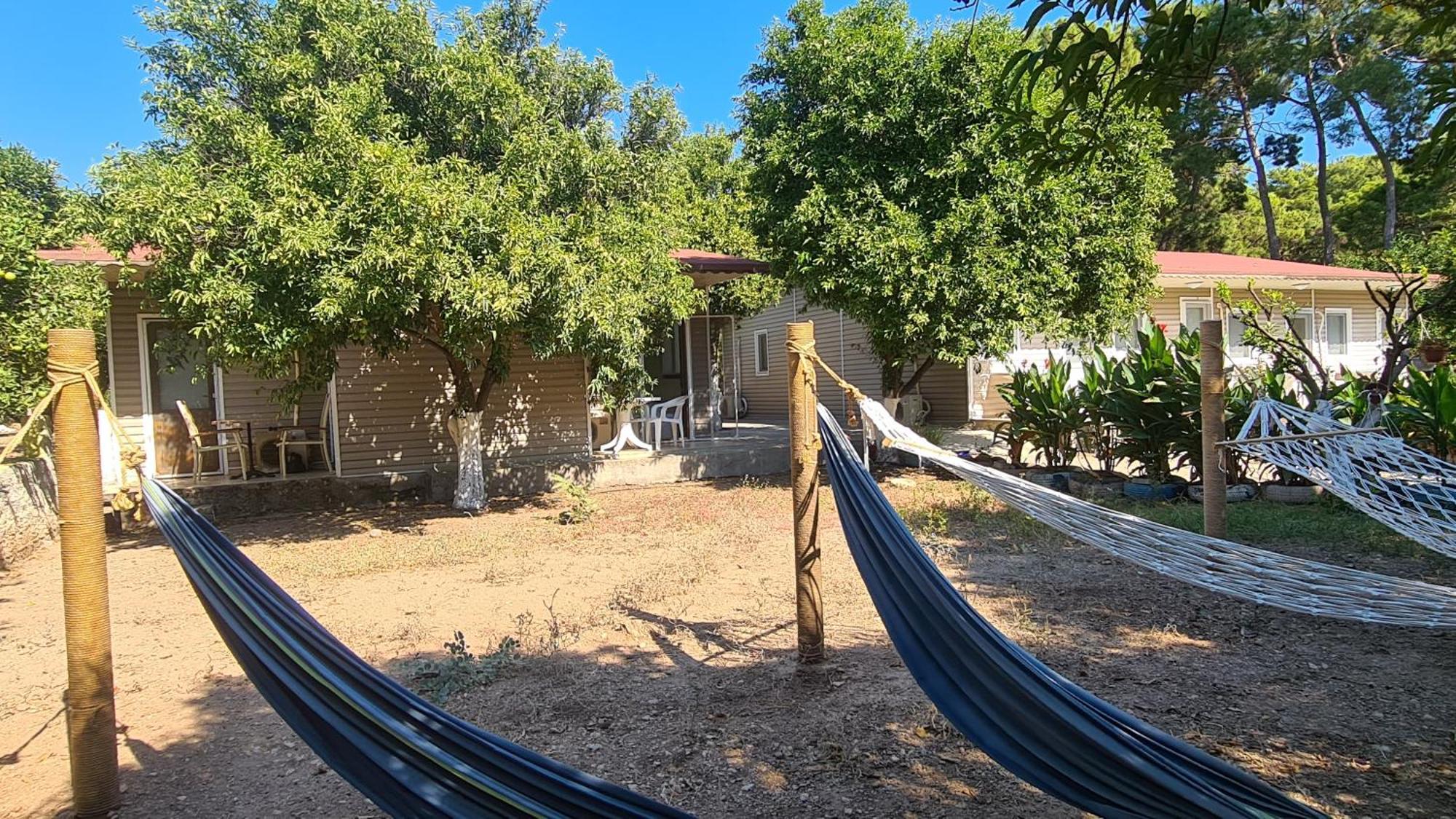Orange Beach Camp 贝尔迪比 外观 照片